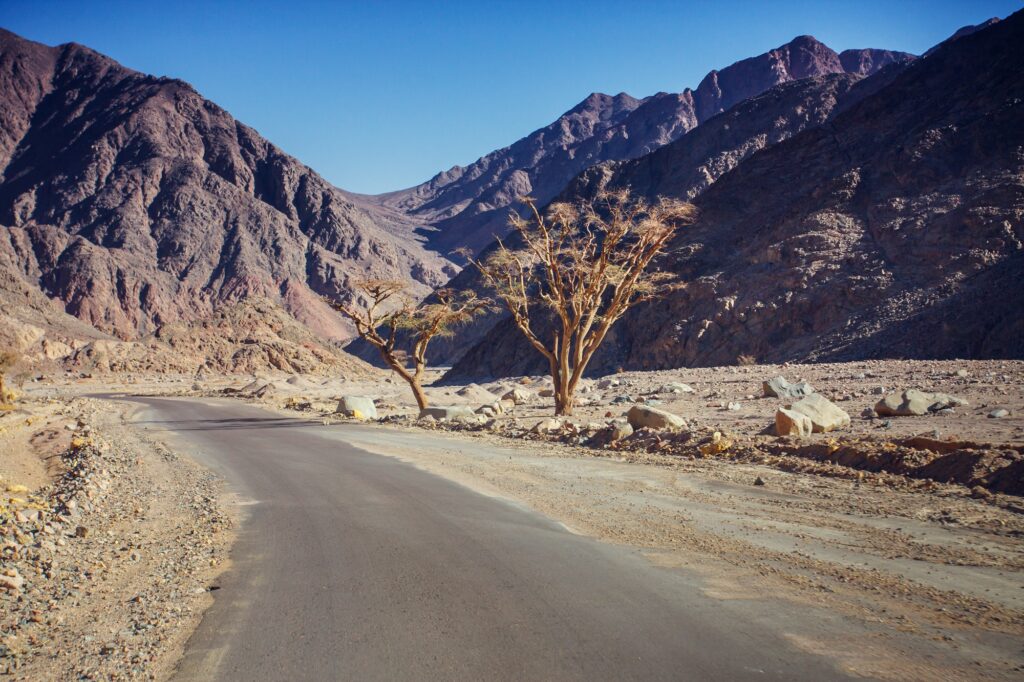 Red Sea Reisen