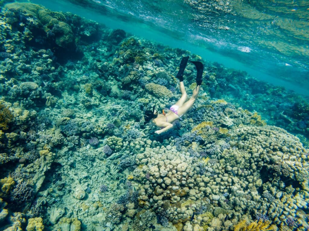 Red Sea Reisen