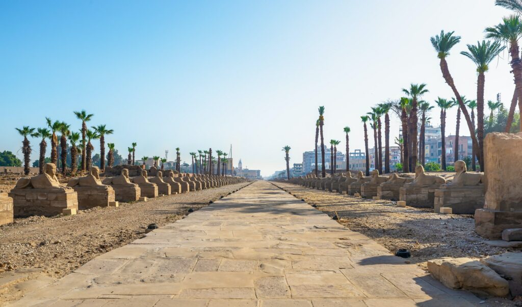 Red Sea Reisen