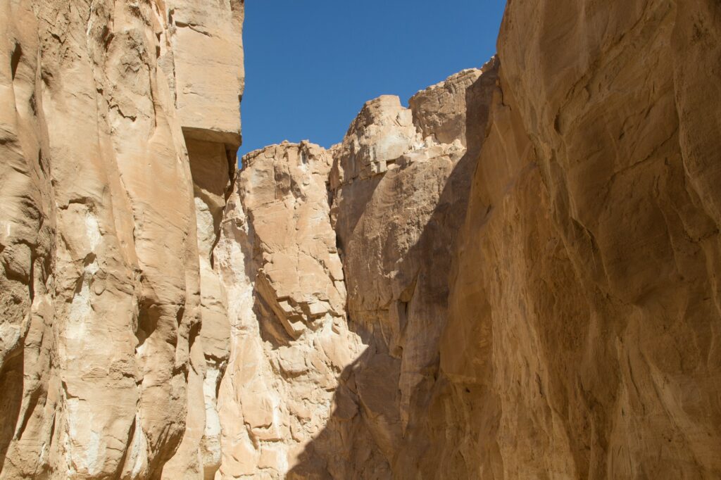 Red Sea Reisen