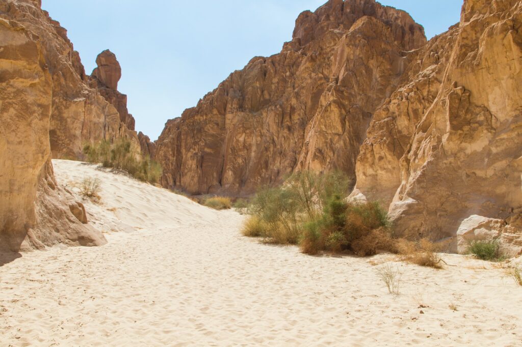 Red Sea Reisen