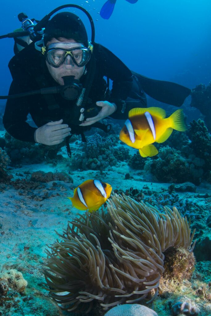 Red Sea Reisen